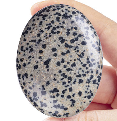 Natuurlijke gepolijste Dalmatische Jaspis Palmsteen Ovalvormige Dalmatische Kristallen Energie Steen voor Gebouw Decoratie