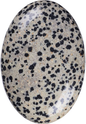 Natuurlijke gepolijste Dalmatische Jaspis Palmsteen Ovalvormige Dalmatische Kristallen Energie Steen voor Gebouw Decoratie
